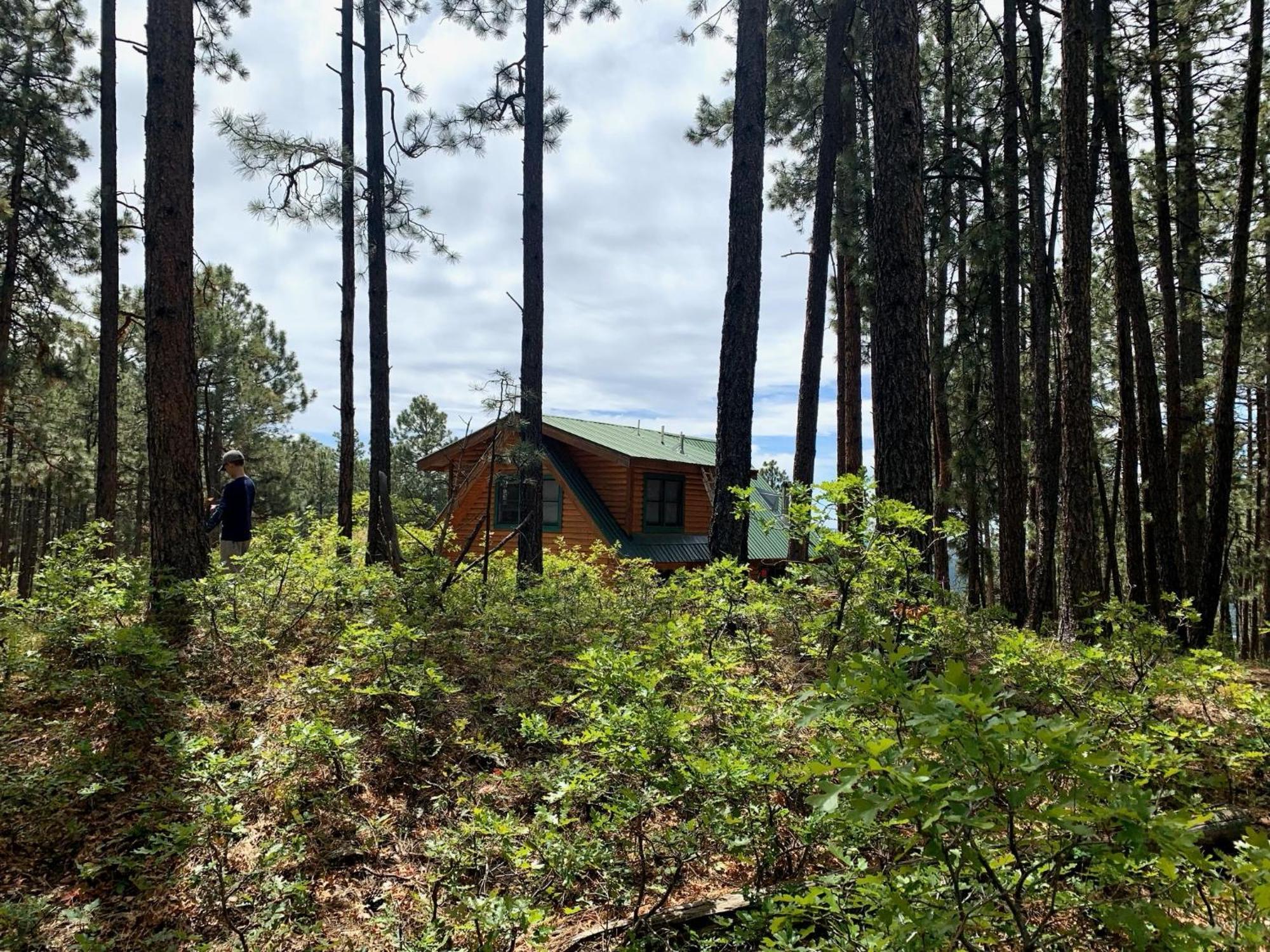 Bear Paw Lodge & Vacation Homes Vallecito エクステリア 写真